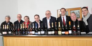 Člani strokovne komisije