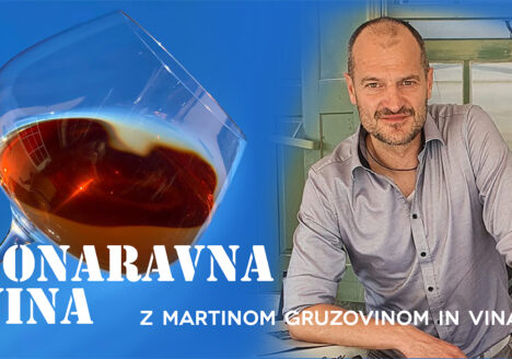 Sonaravna vina